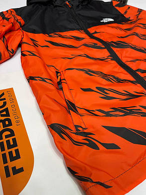 Чоловіча вітровка THE NORTH FACE, фото 2