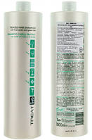 Шампунь для пошкодженого волосся ING Professional Treat-ING Treated Hair Shampoo, 1000мл