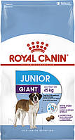 Корм для молодих собак гігантських порід ROYAL CANIN GIANT JUNIOR (джуніор) 15.0 кг