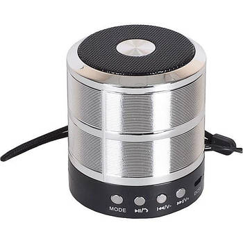 Колонка портативна MINI WS-887-X1-214 (Срібний)