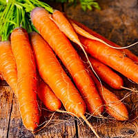 Амстердамська насіння моркви 10 г