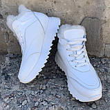 Calvin Klein Жіночі зимові шкіряні білі кросівки черевики з хутром, фото 9