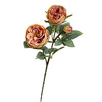 Веточка розы, розовая