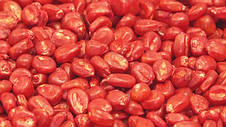 Фарба для насіння червона REDCORN 10 л, фото 3