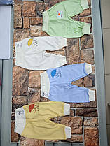 Штани- повзунки на широкій гумці 56р.