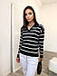 Жіноча смугата кофта поло вільного крою з манжетами (р. 42-46) 55KF2054, фото 5