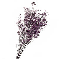 Декоративная ветка Фиолет, стабилизированная