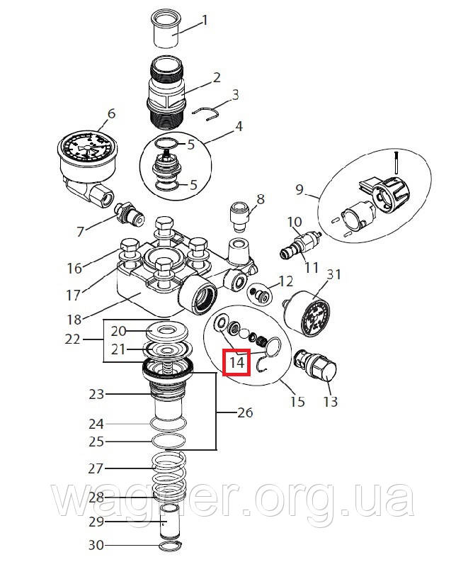 Уплотнитель кольцевой и уплотнительное кольцо на Wagner SF 23 Pro - фото 1 - id-p1677960912