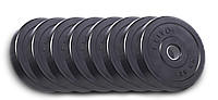 Сет із дисків ELITUM W 10 кг Диски Млинці для Штанги і Гантелей диски на гриф