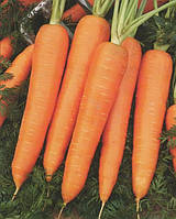 Курода семена моркови 2 г