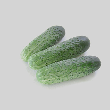 Наташа F1 огірок 1000 нас. Seminis, фото 1