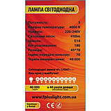 Лампочка світлодіодна Е14 5W 4000К (білий нейтральний). F+LIGHT G45B, фото 3