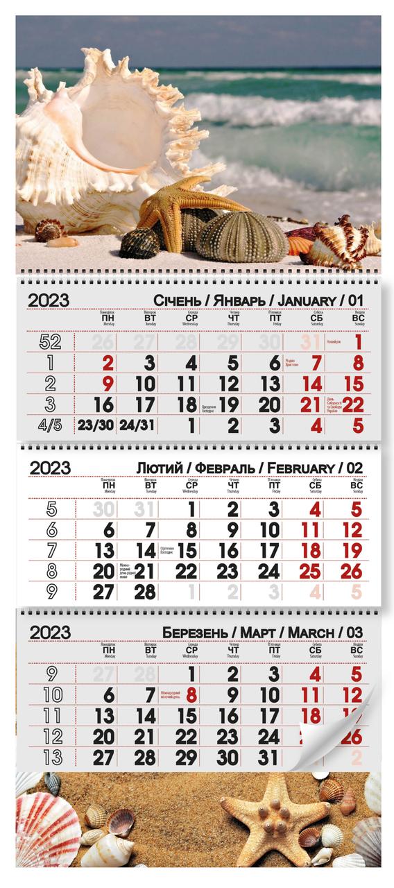 Квартальний календар 2023 "Мушля"
