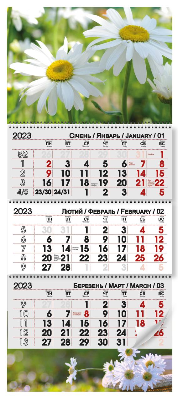 Квартальний календар 2023 "Ромашка"