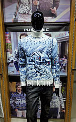 Светр чоловічий Pulltonic Будиночок у Лісі