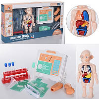Игровой набор доктора, больничка, набор анатомии, лаборатория, аппарат УЗИ