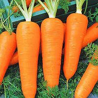 Семена морковь Красавка 500г раннеспелый высокопродуктивный сорт, посевные весовые семена