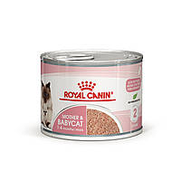 Вологий корм (мус) для кошенят віком від 1 до 4 місяців ROYAL CANIN MOTHER & BABYCAT Cans 0.195 кг