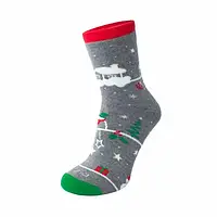 Дитячі шкарпетки махрові - Дюна р.18-20 (шкарпетки дитячі зимові махрові, Duna) 4050-2608-сірий