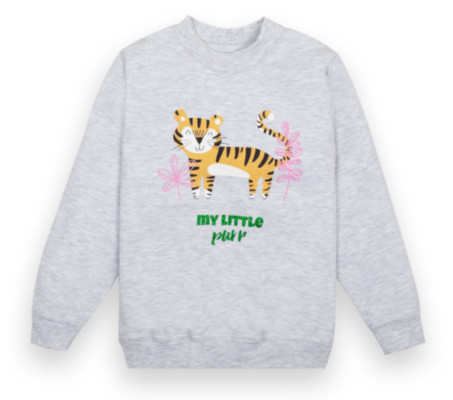 Светр дитячий для дівчинки GABBI DG-20-26-1 Симпотяжки Сірий на зріст 104 (12424)