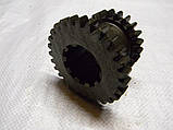 СШ20.37.116 Шестерня т-16, фото 2
