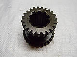 СШ20.37.116 Шестерня т-16, фото 4