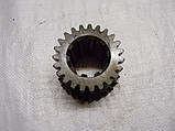 СШ20.37.116 Шестерня т-16, фото 5