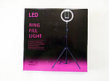 Світлодіодна кільцева LED лампа діаметр 26 см Ring Fill Light ZD666, фото 7