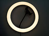 Світлодіодна кільцева LED лампа діаметр 26 см Ring Fill Light ZD666, фото 11