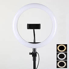 Світлодіодна кільцева LED лампа діаметр 26 см Ring Fill Light ZD666, фото 6