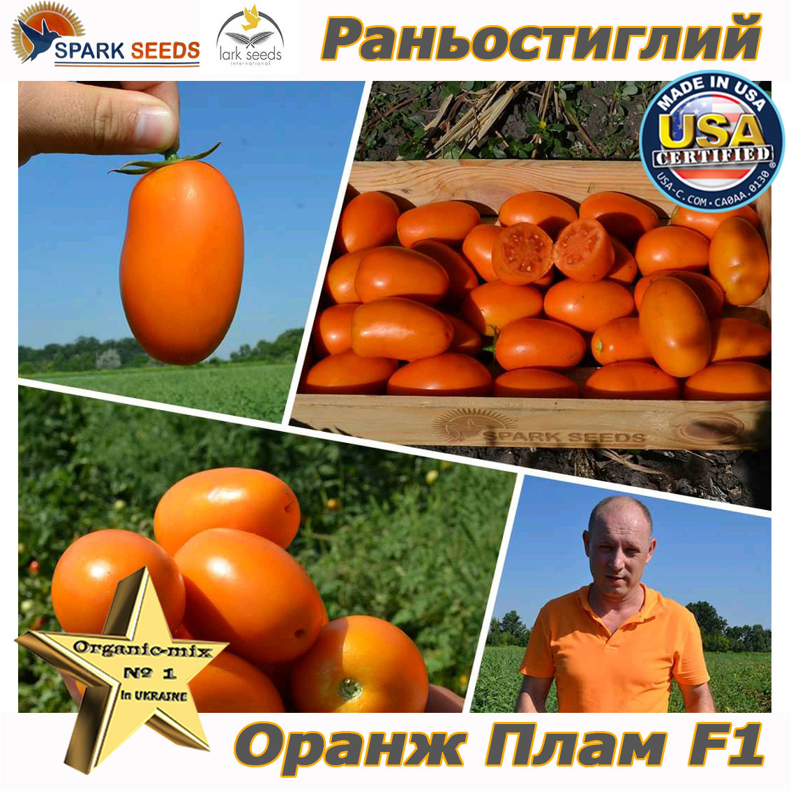 Насіння, Оранж Плам F1 помаранчевий томат-сливка ТМ "Spark Seeds" США (500 насінин)
