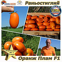 Насіння, Оранж Плам F1 помаранчевий томат-сливка ТМ "Spark Seeds", США