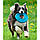 West Paw Dash Dog Frisbee (Вест Пав Фрісбі) іграшка для собак фрисбі, фото 4
