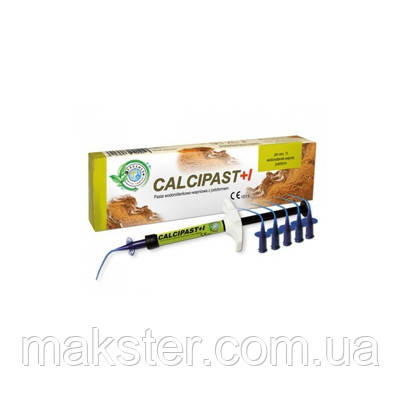 Матеріал для тимчасового пломбування кореневих каналів CALCIPAST I, фото 1