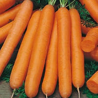 Монанта семена моркови Rijk Zwaan 2 г