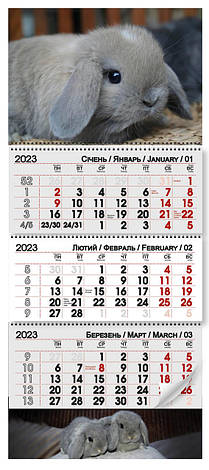 Квартальний календар 2023 "Символ року - срібло", фото 2