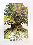 Таро Дикого лісу. The Wild Wood Tarot., фото 9