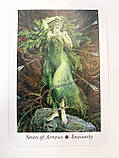 Таро Дикого лісу. The Wild Wood Tarot., фото 10
