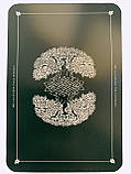 Таро Дикого лісу. The Wild Wood Tarot., фото 11