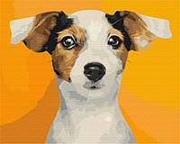 Картина по номерам Портрет любимой собачки 40*50, BS52379