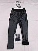 Лосини утеплені для дівчаток оптом, F&D, 6-16 рр., арт. 8005, фото 3