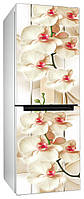 Наклейки на холодильник орхидеи