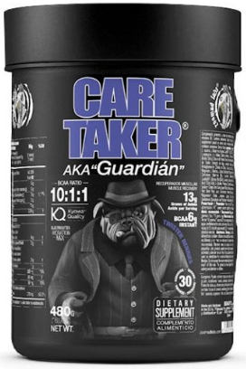 Амінокислота Бца Zoomad Labs Caretaker BCAA 480g, фото 1