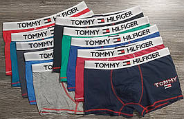 Мужские трусы Tommy Hilfiger хлопок цвета ассорти