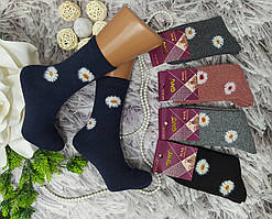 Шкарпетки жіночі розмір 39-42 ангора з махрою високі за 1 пару 9905