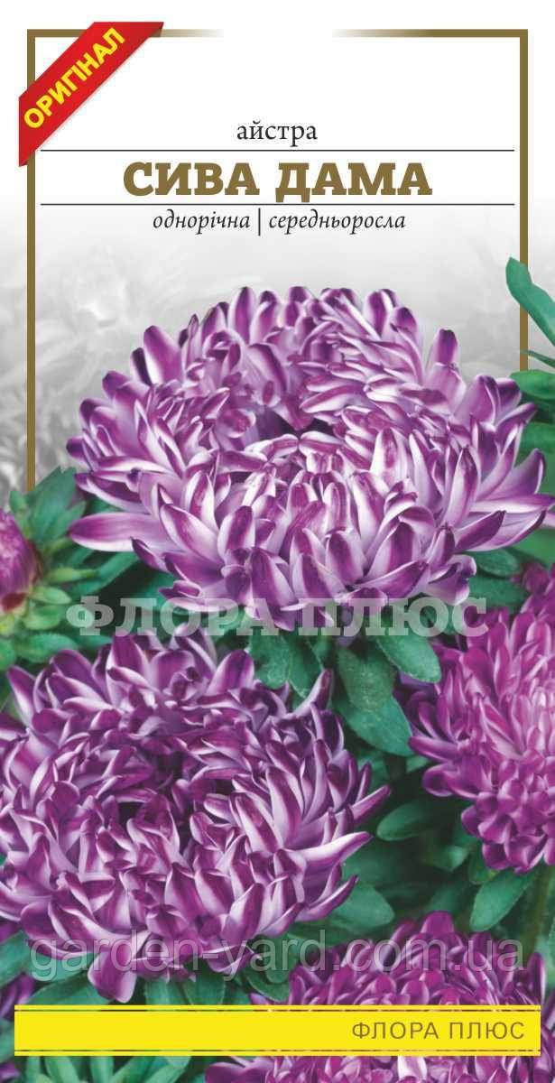 Насіння квітів айстра Сива дама Флора плюс