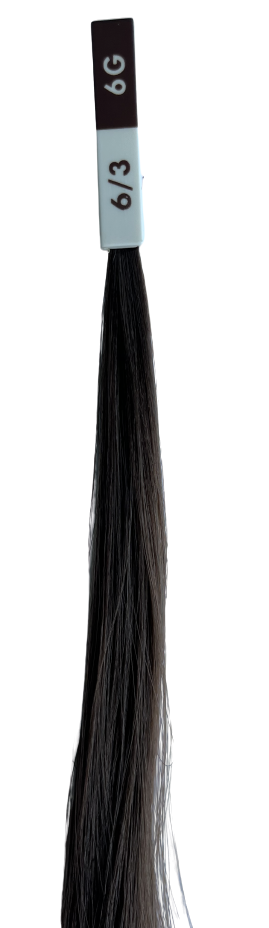 LA BIOSTHETIQUE Coloring and Perming Hair Tint & Tone Advanced 6/3 - Стойкая краска для волос - 6/3