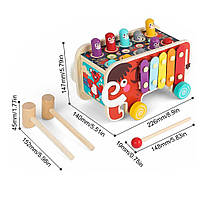 Деревянная игрушка (каталка, стучалка, ксилофон, спинер) арт. C 54521 топ