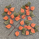 Гілка дерева берези помаранчевої оливковий 60см, фото 2
