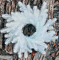 Вінок новорічний різдвяний d-40 см з литої хвої білий Lux